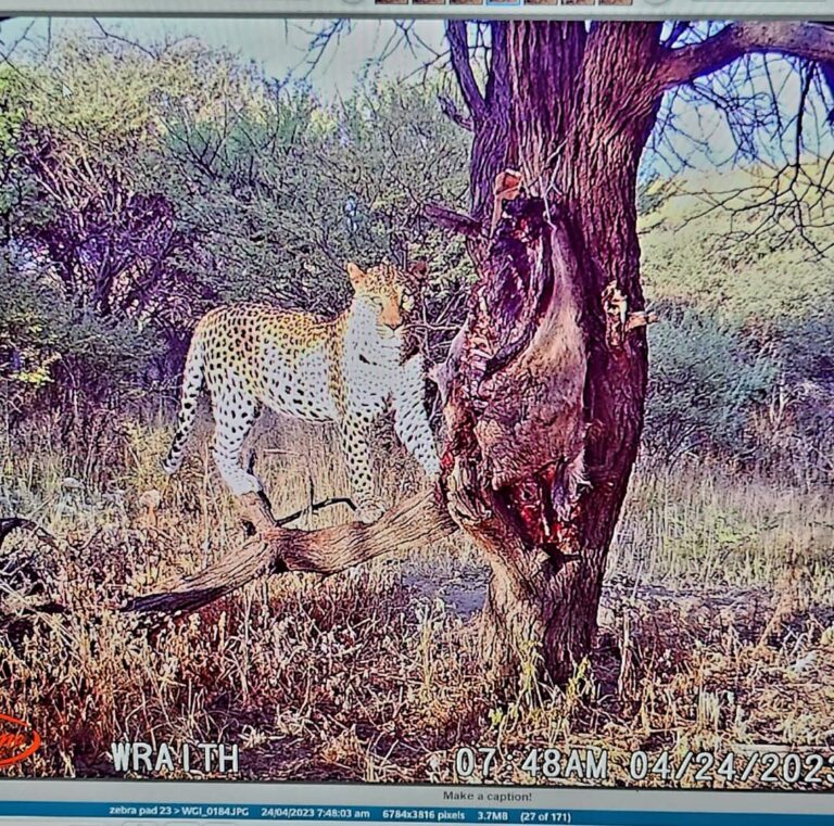 PHOTO 2023 09 21 21 51 50 768x761