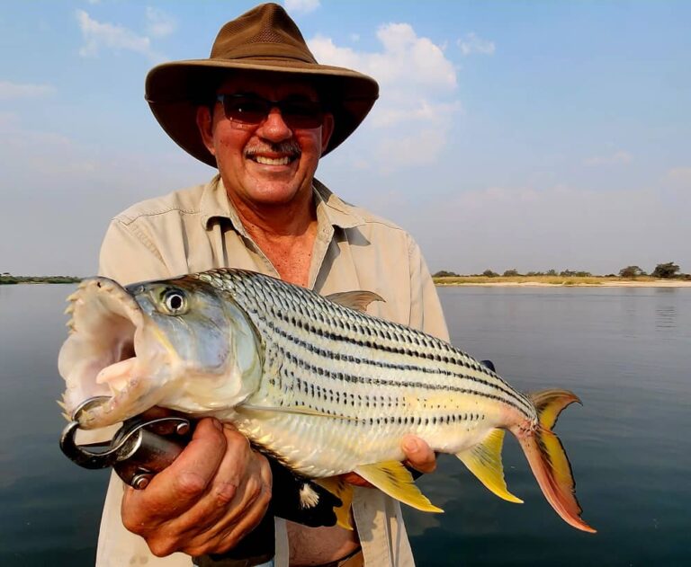 PHOTO 2023 09 21 21 52 00 768x631