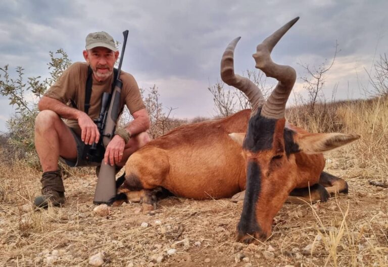 PHOTO 2023 09 21 21 52 011 768x528