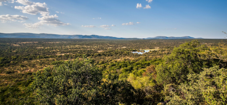 Screenshot 4 768x355