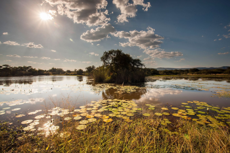 Screenshot 6 768x513