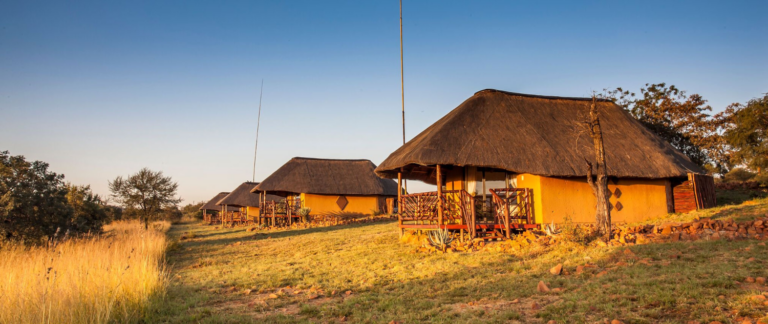 Screenshot 8 768x324