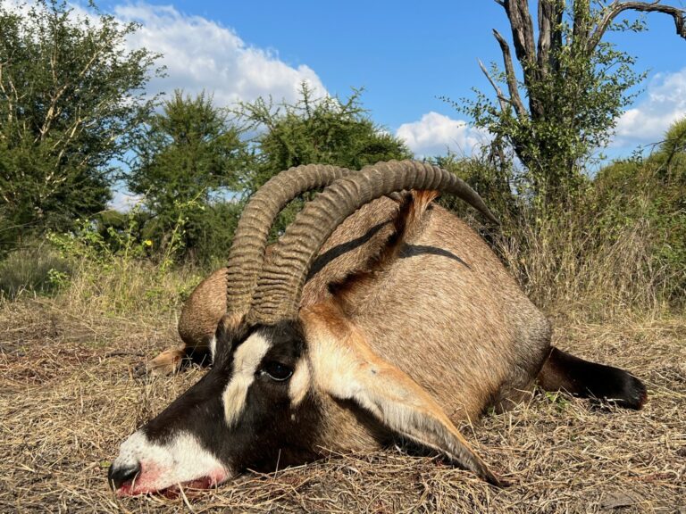 thumbnail IMG 3437 768x576