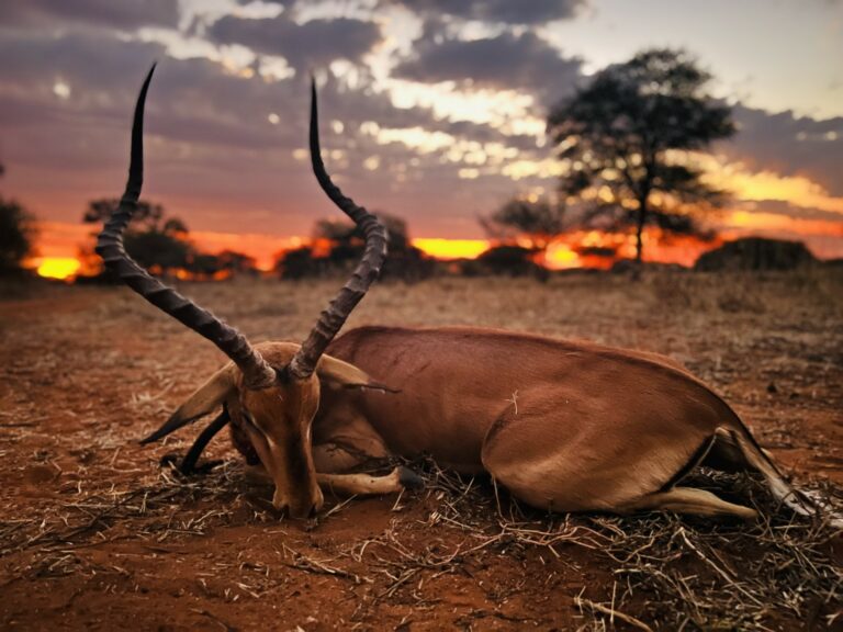 thumbnail IMG 5068 768x576