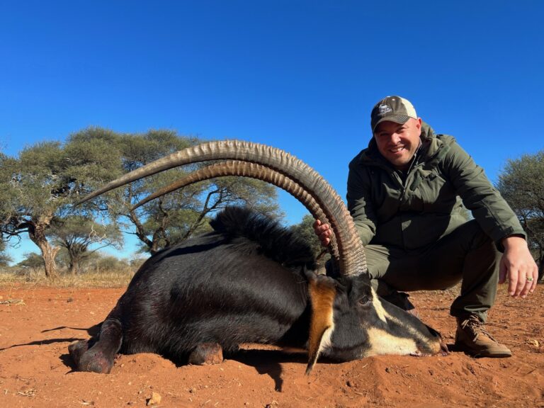 thumbnail IMG 5117 768x576