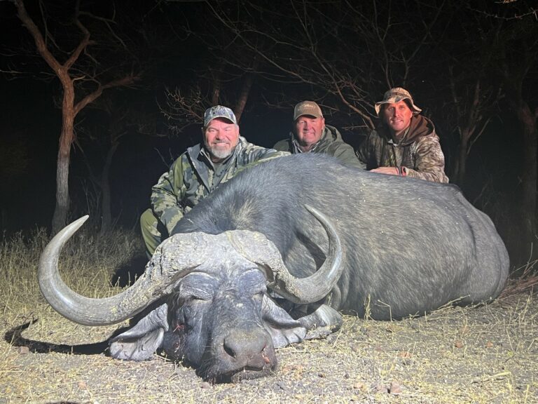 thumbnail IMG 6246 768x576