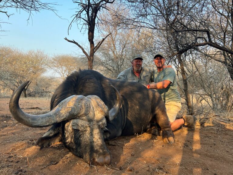 thumbnail IMG 7984 768x576