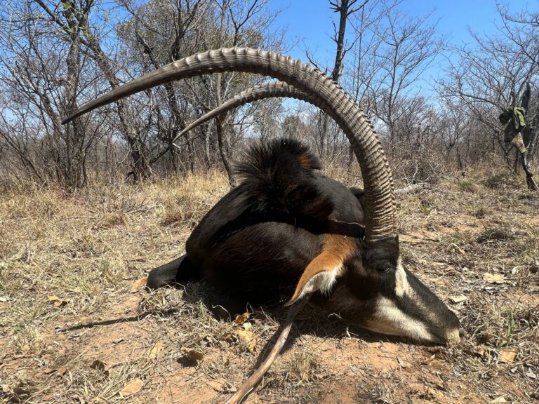 thumbnail IMG 8329 768x576