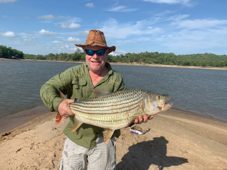 33c5d298 b4ba 4296 8009 1b14a785586c 768x576