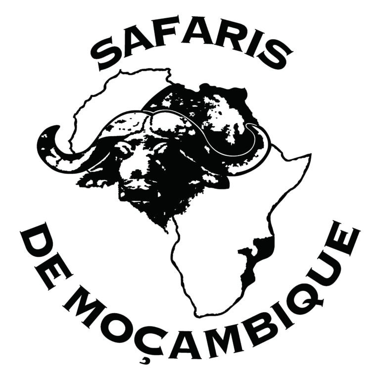 SDM Logo transparent 768x768