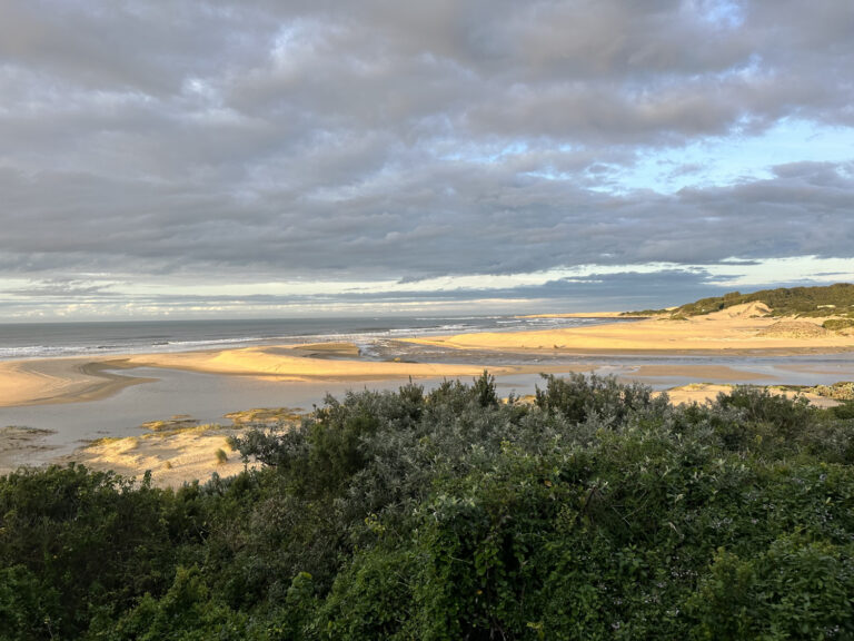 Coastal Camp 24 8 high res 768x576