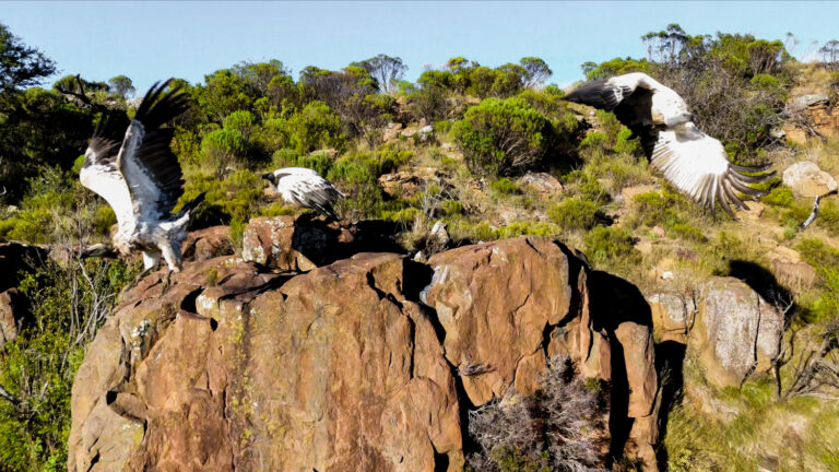 Mountain Lodge 3 High res 768x432