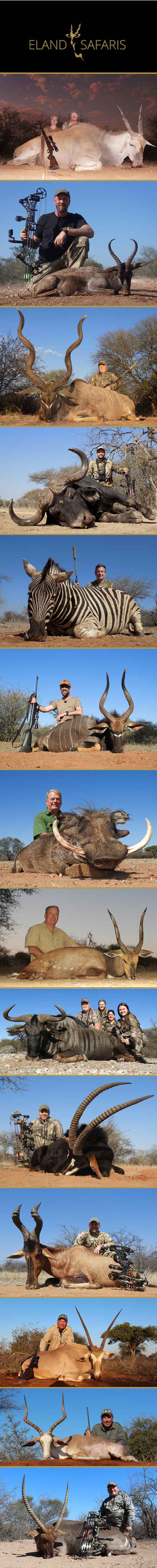 Eland Safaris February 2023