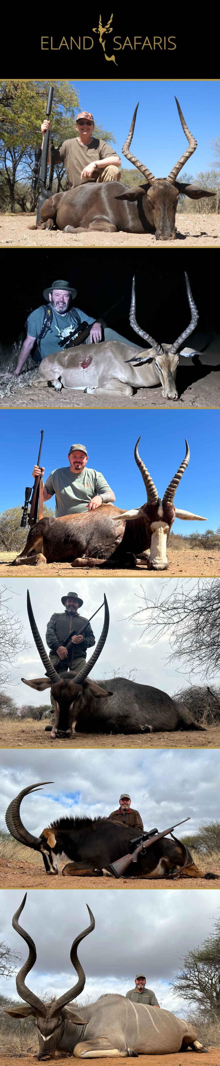 Eland Safaris June 2024 768x3712