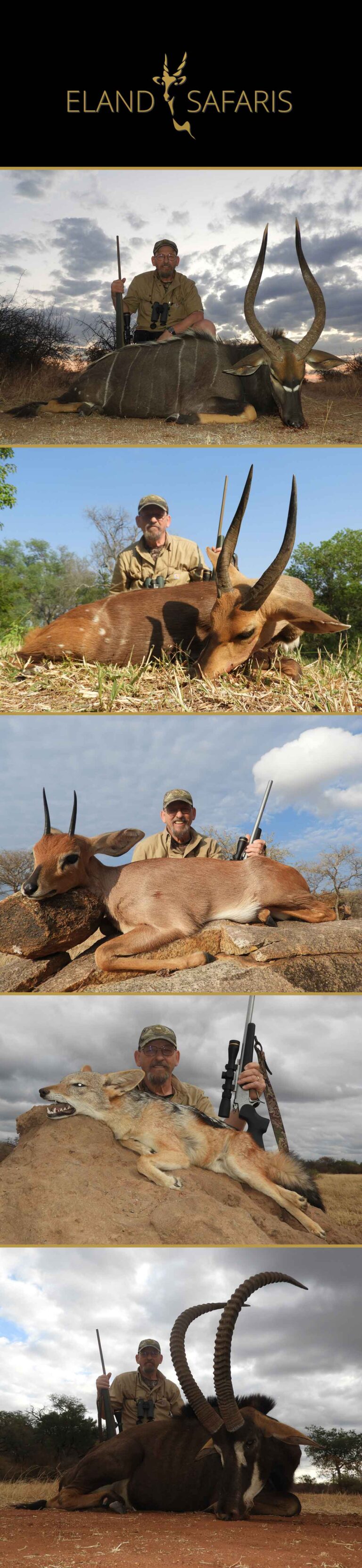 Eland Safaris May 2024 768x3328