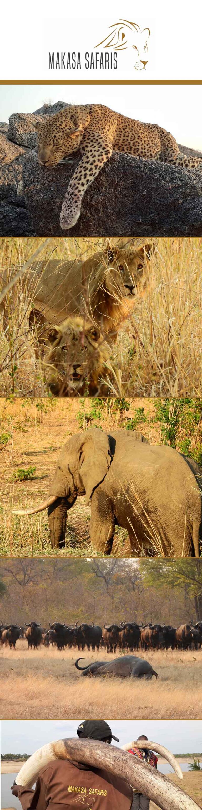 Makasa Safaris February 2024 768x3072