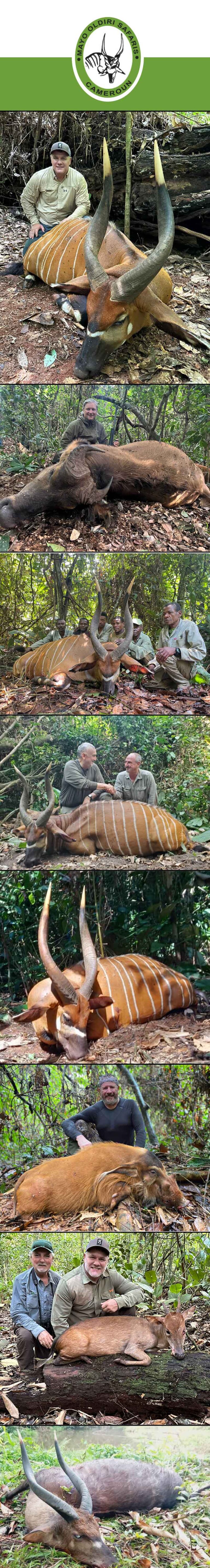 Mayo Oldiri 2 May 2024 768x5722