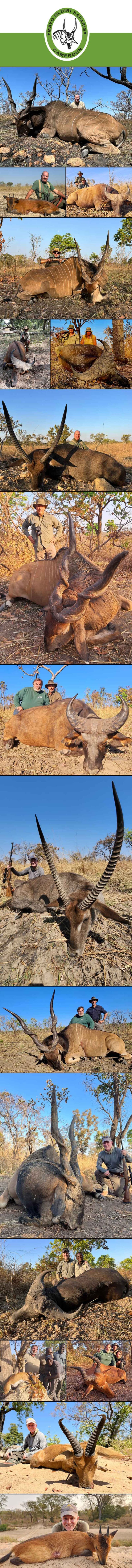 Mayo Oldiri January 2024 768x9088