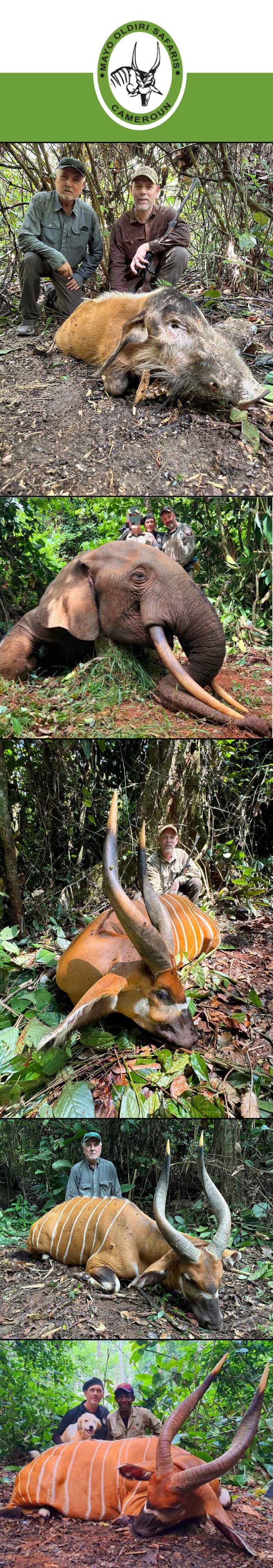 Mayo Oldiri June 2024 768x4416