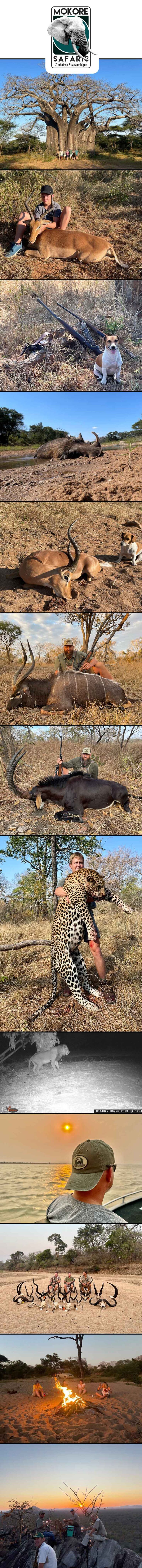 Mokore Safaris February 2024 768x8448