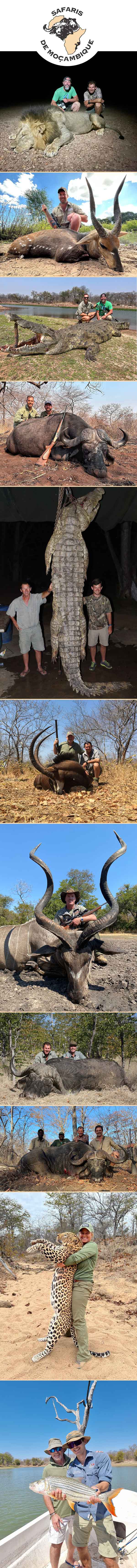 Mozambique de Safaris February 2024