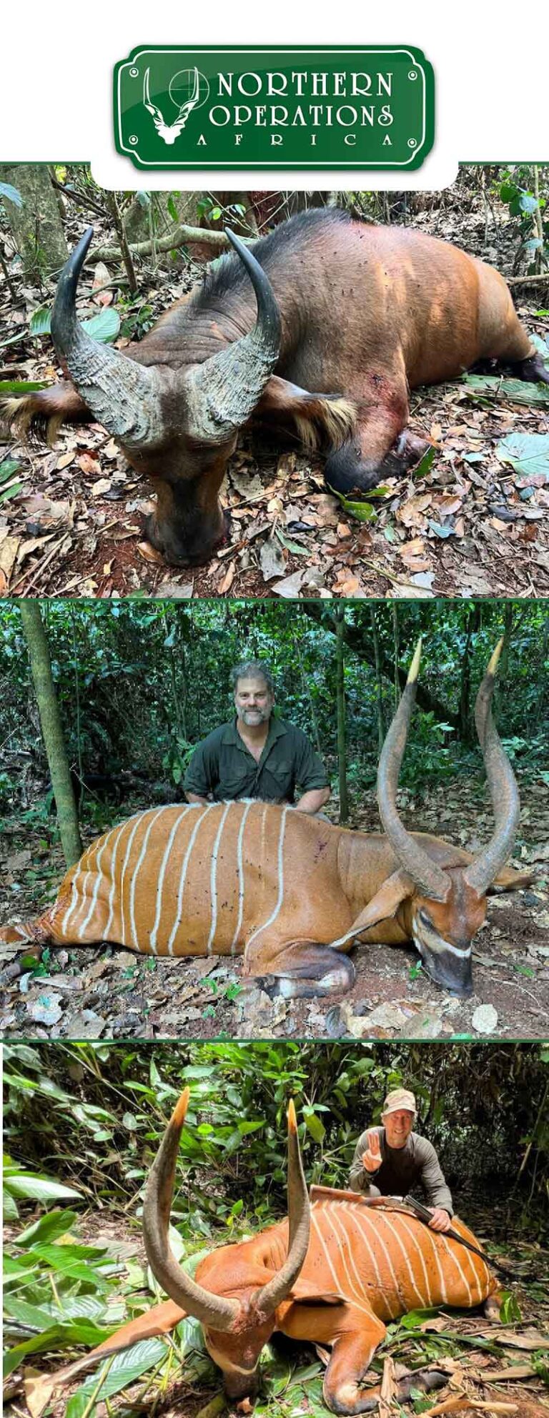 Northern Operations Africa April 2024 768x1984