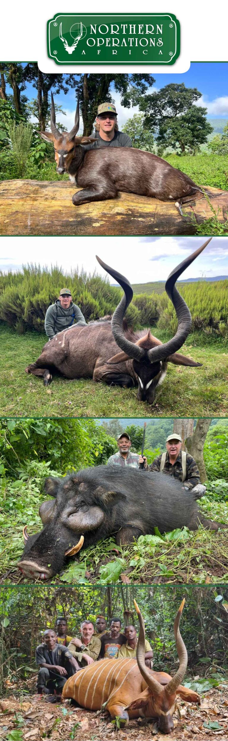 Northern Operations Africa June 2024 768x2496