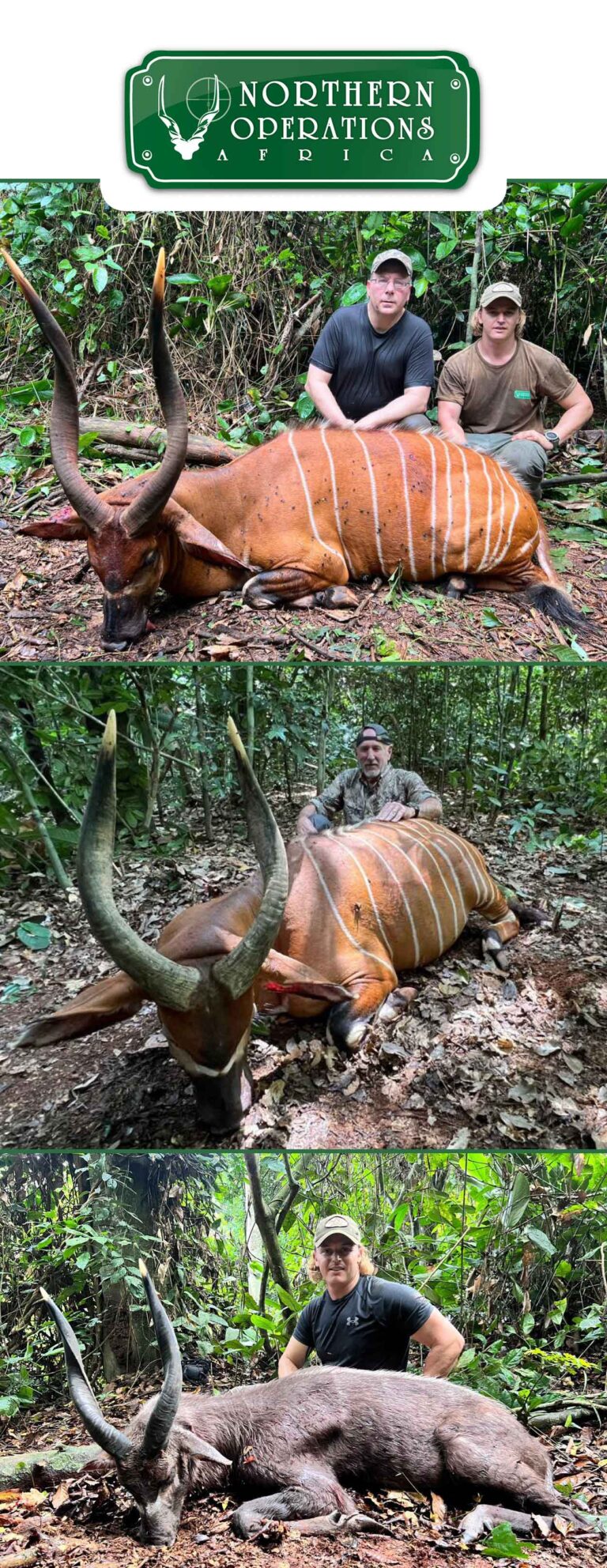 Northern Operations Africa May 2024 768x1984