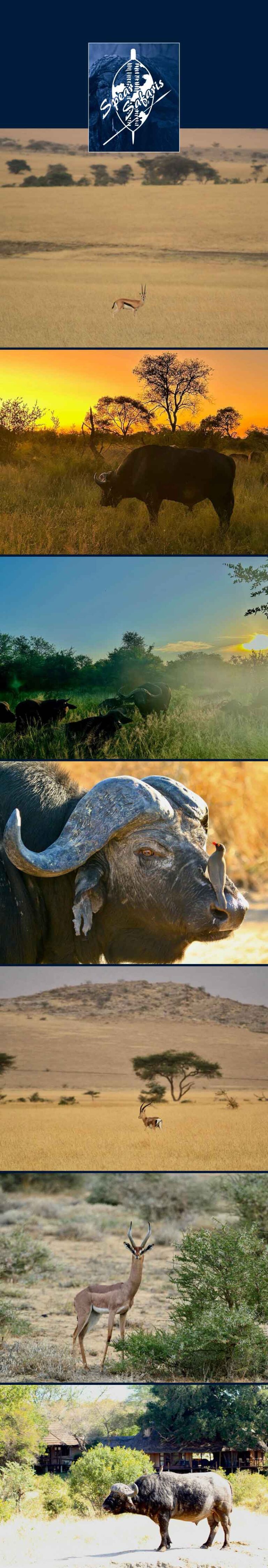 Spear Safaris February 2024 768x4480