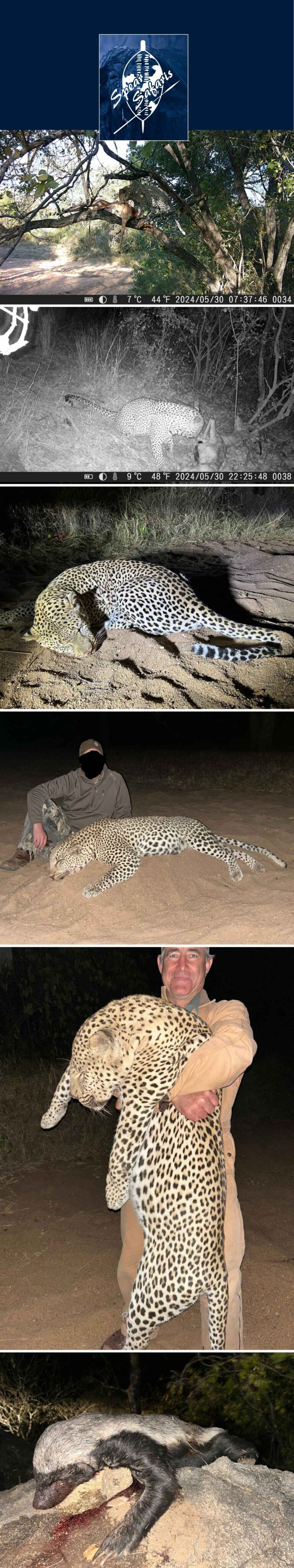 Spear SafarisJune 2024 768x4096