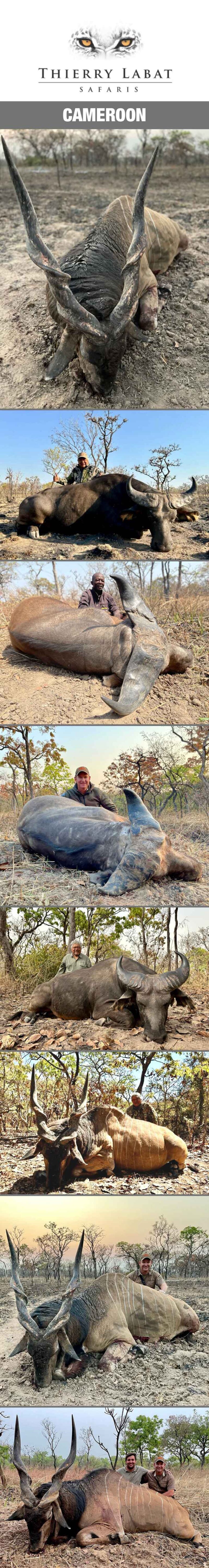 Thierry Labat February 2024 768x5760