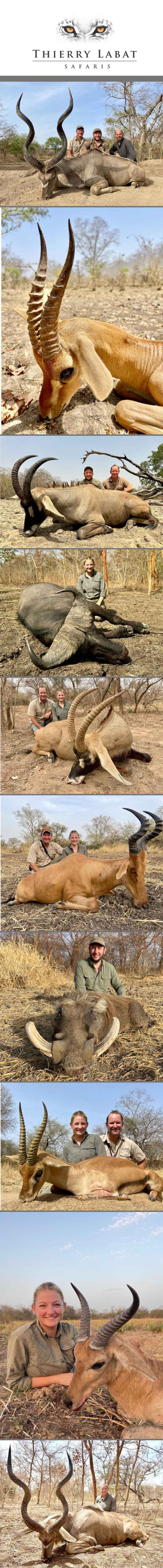 Thierry Labat May 2024 768x7360