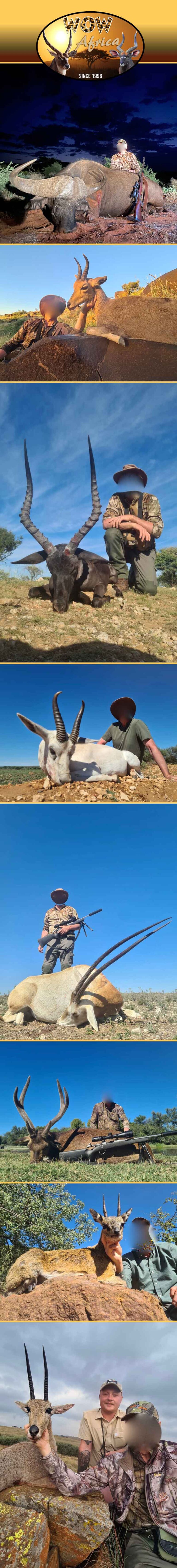 Wow Africa Safaris June 2024 768x6784