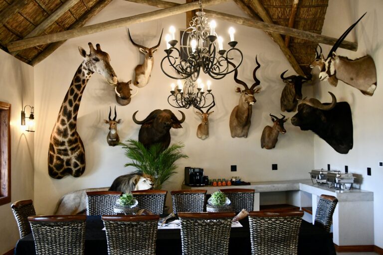 African frontier Safaris 1 768x512