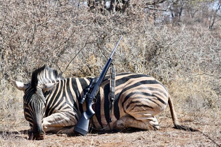 African frontier Safaris 4 min 1 768x512