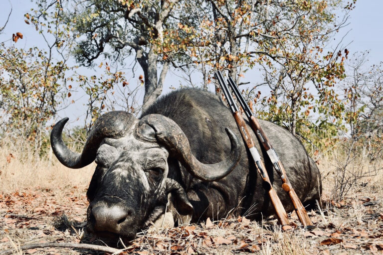 African frontier Safaris 5 768x512