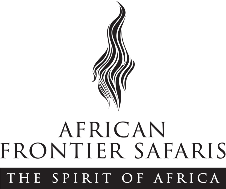 African frontier logo 2048x1711 1 768x642