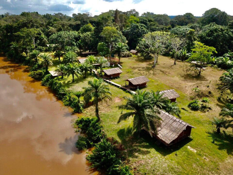 Congo Forest Safaris 03 768x576