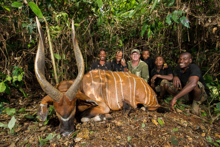 Congo Forest Safaris 04 768x512