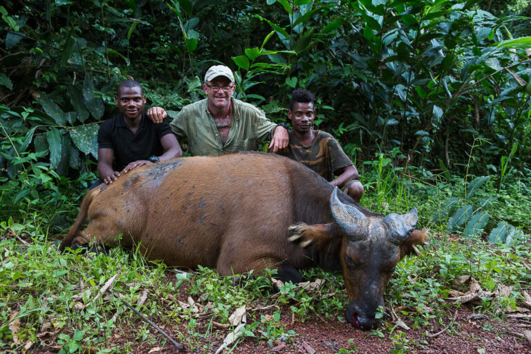 Congo Forest Safaris 06 768x512