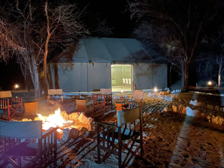 Divan Safaris 4 768x576