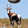 Issue April-June 2025