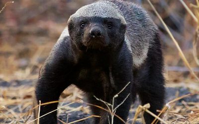 Issue July – September 2025