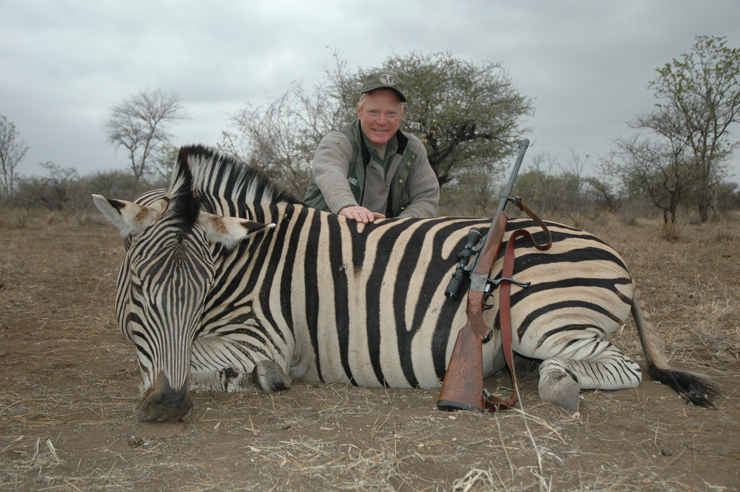 DSC_1968 A typical Burchell’s zebra, taken in southern Zimbabwe with a Ruger No. One single-shot in .405 Winchester.
