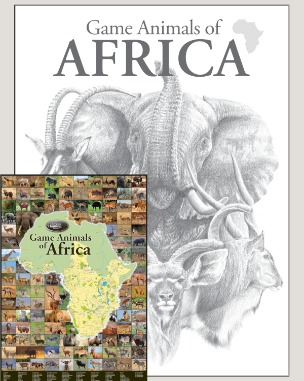 Game Animals of Africa Bundle