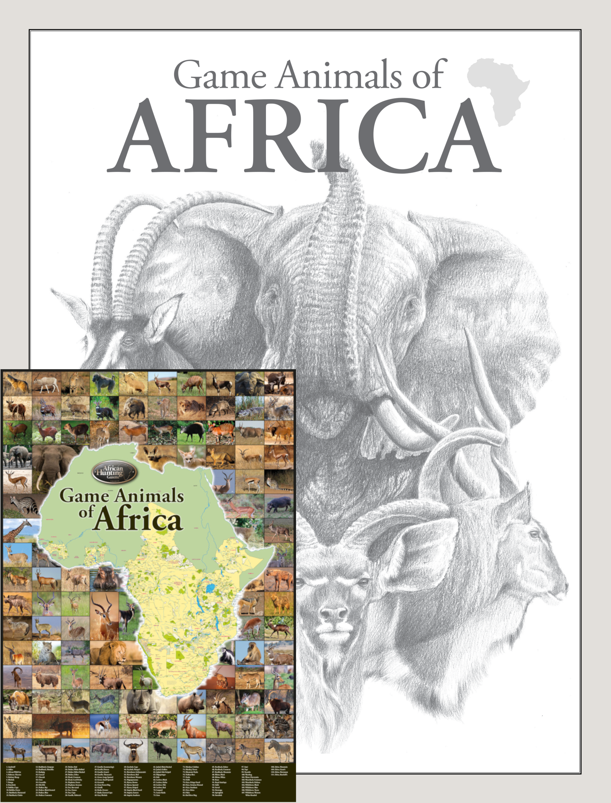 GAoA bundle