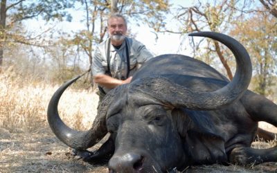 A Zimbabwean Buffalo Hunt