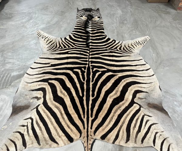 Zebra skins