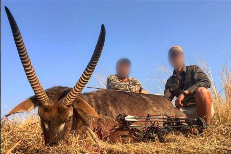 Screenshot 2025 03 24 at 16.22.17 768x512