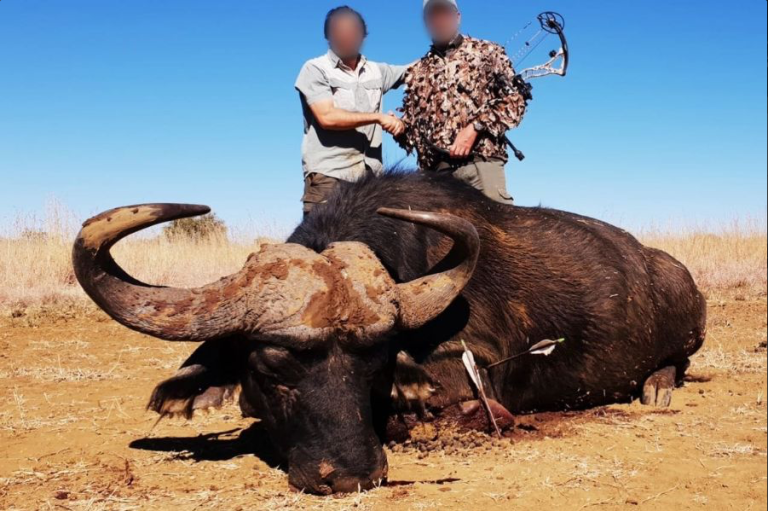 Screenshot 2025 03 24 at 16.23.04 768x511